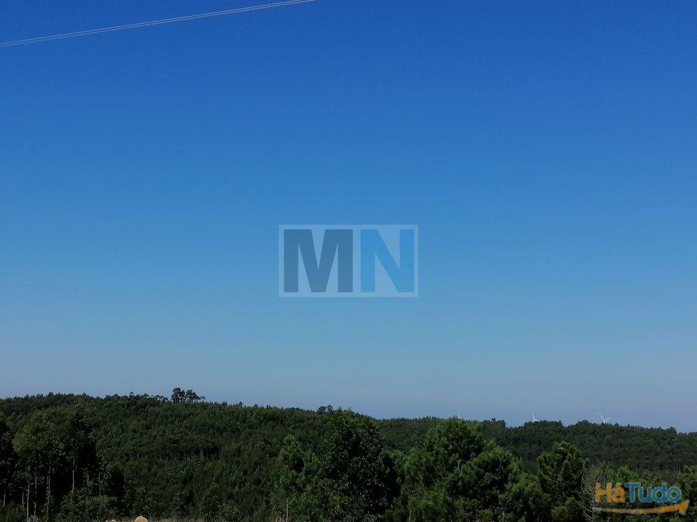 Terreno no Roxo Terreno no Roxo