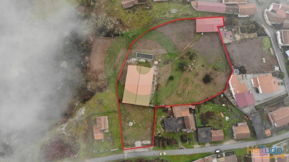 Terreno com 6 500m2 Terreno com 6 500m2