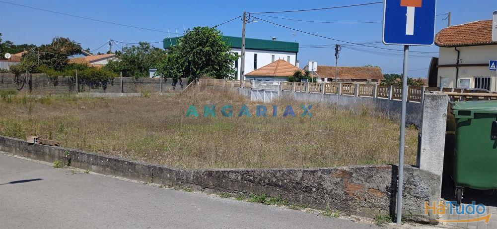 ANG1188 - Terreno para Venda em Vieira de Leiria ANG1188 - Terreno para Venda em Vieira de Leiria