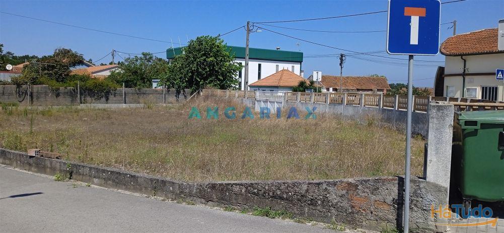 ANG1188 - Terreno para Venda em Vieira de Leiria ANG1188 - Terreno para Venda em Vieira de Leiria
