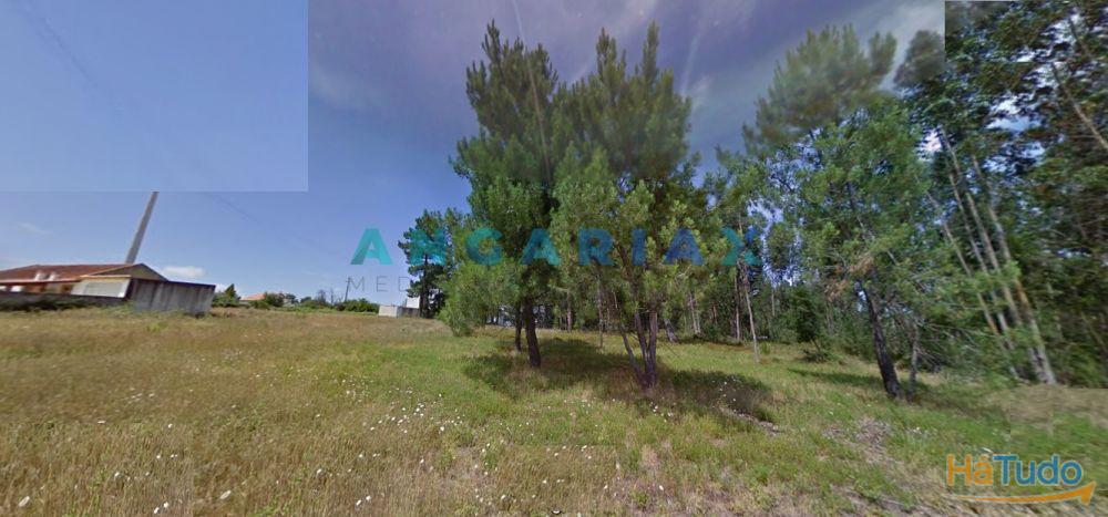 ANG1305 - Terreno para Construção para Venda em Marinha Grande ANG1305 - Terreno para Construção para Venda em Marinha Grande