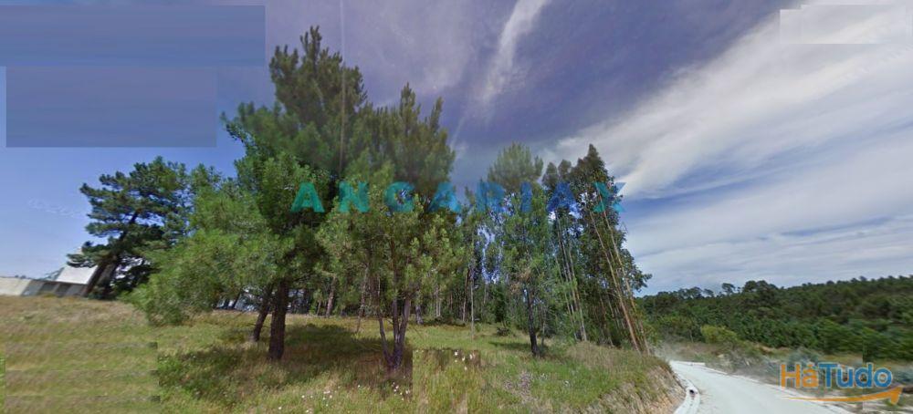 ANG1305 - Terreno para Construção para Venda em Marinha Grande ANG1305 - Terreno para Construção para Venda em Marinha Grande