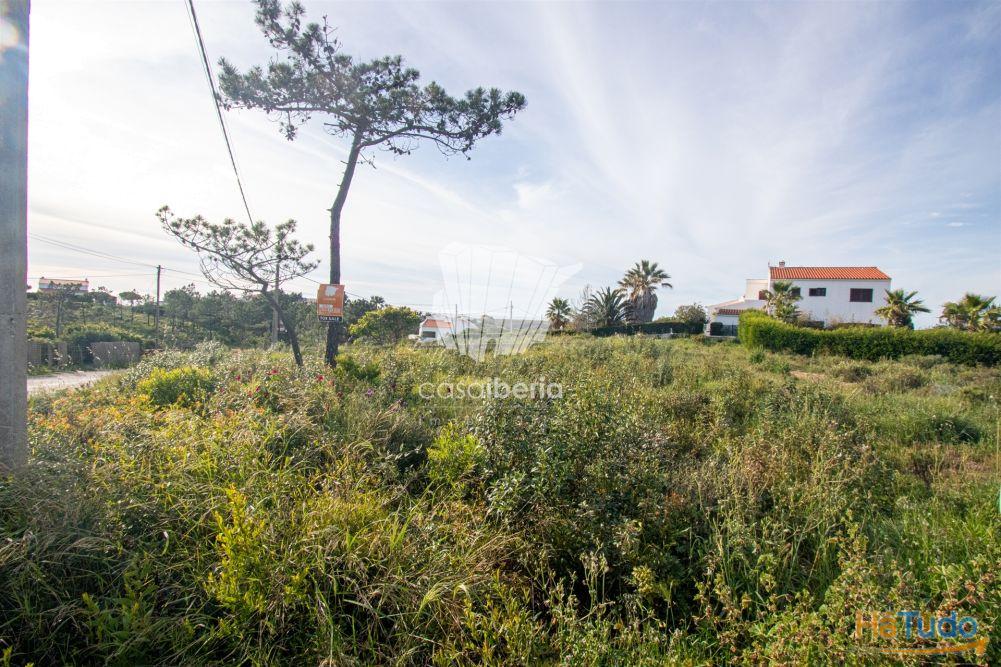 Exclusivo - Terreno - Vale Da Telha - Aljezur Exclusivo - Terreno - Vale Da Telha - Aljezur