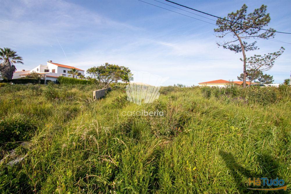 Exclusivo - Terreno - Vale Da Telha - Aljezur Exclusivo - Terreno - Vale Da Telha - Aljezur