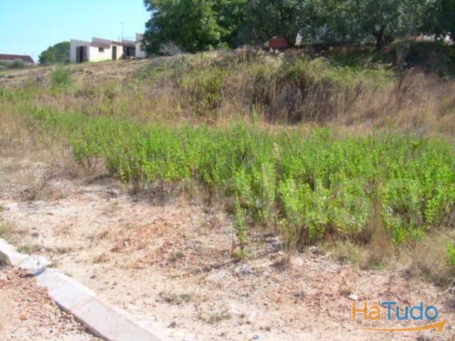 Terreno em Figueira da Foz - Coimbra Terreno em Figueira da Foz - Coimbra
