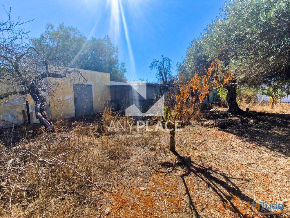 Moradia típica Algarvia para renovar situada no sítio da Nave dos Cordeiros. Moradia típica Algarvia para renovar situada no sítio da Nave dos Cordeiros.