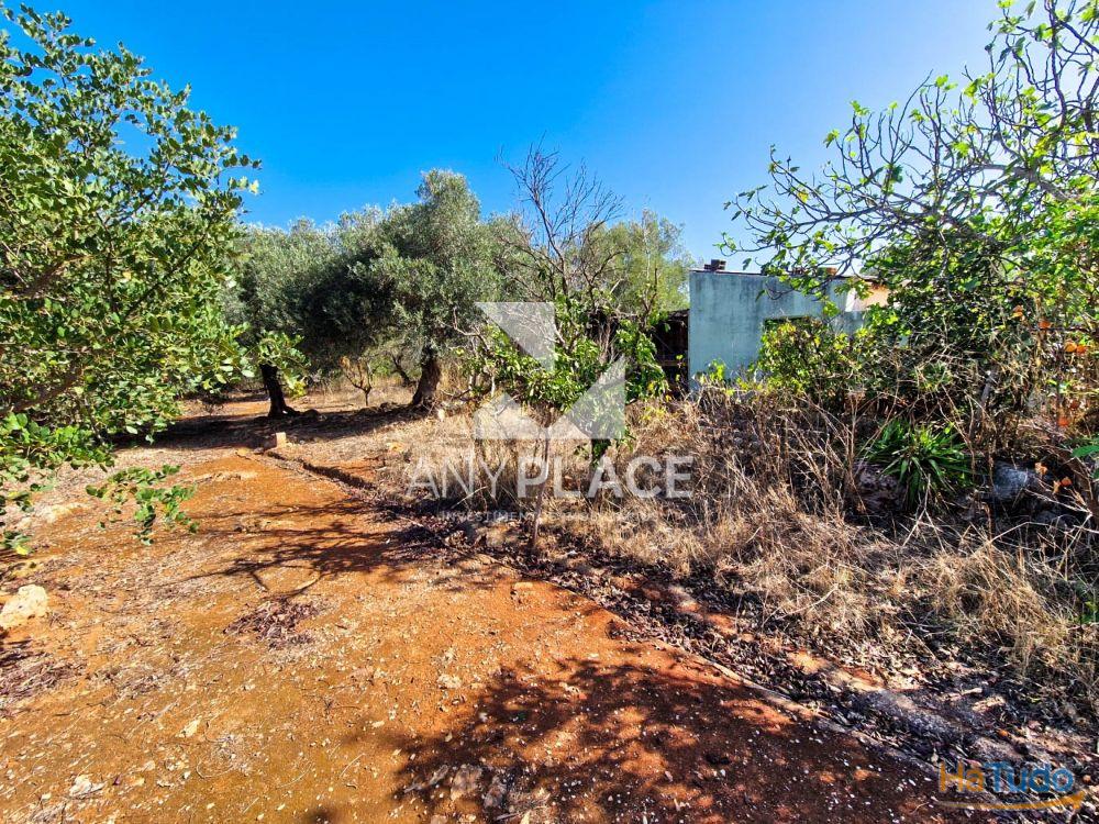 Moradia típica Algarvia para renovar situada no sítio da Nave dos Cordeiros. Moradia típica Algarvia para renovar situada no sítio da Nave dos Cordeiros.