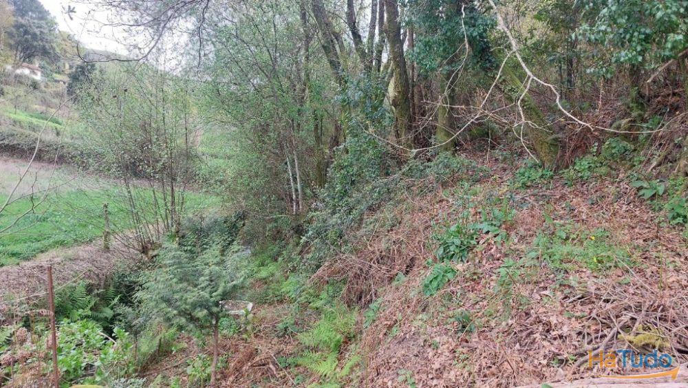 Terreno - Caldelas Terreno - Caldelas