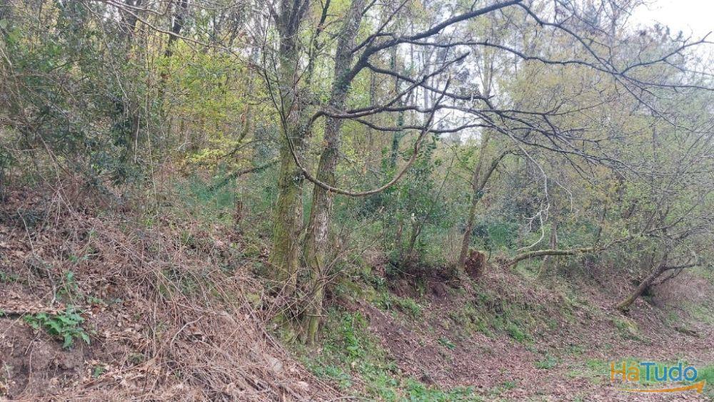 Terreno - Caldelas Terreno - Caldelas