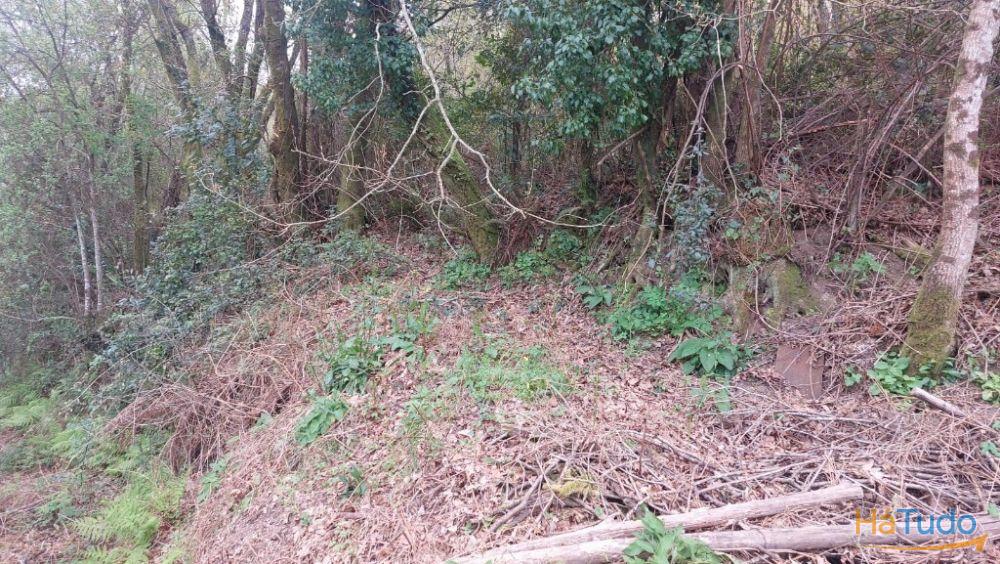 Terreno - Caldelas Terreno - Caldelas