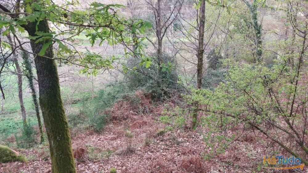 Terreno - Caldelas Terreno - Caldelas