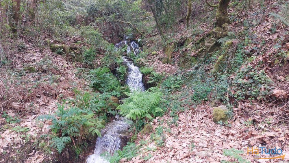 Terreno - Caldelas Terreno - Caldelas