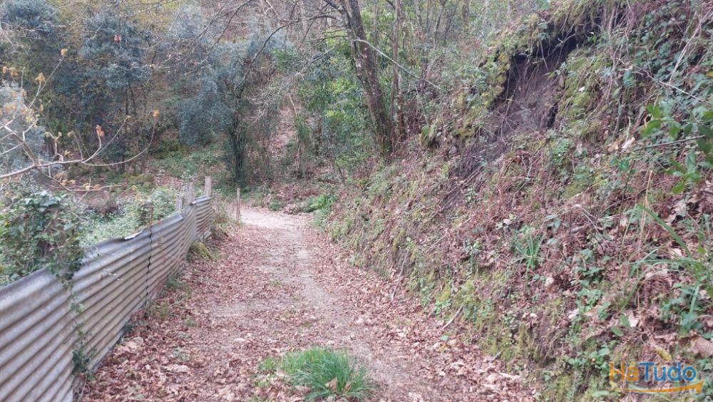 Terreno - Caldelas Terreno - Caldelas