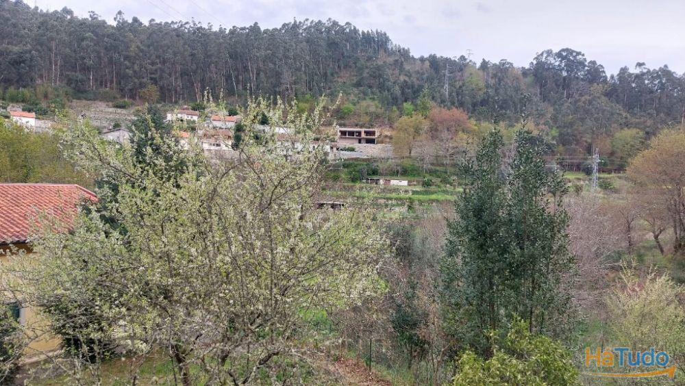 Terreno - Caldelas Terreno - Caldelas