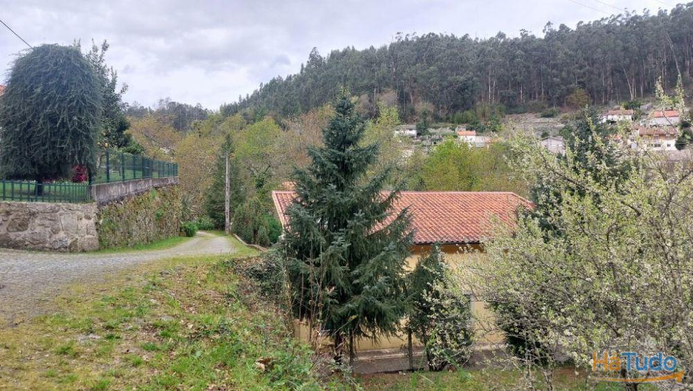 Terreno - Caldelas Terreno - Caldelas