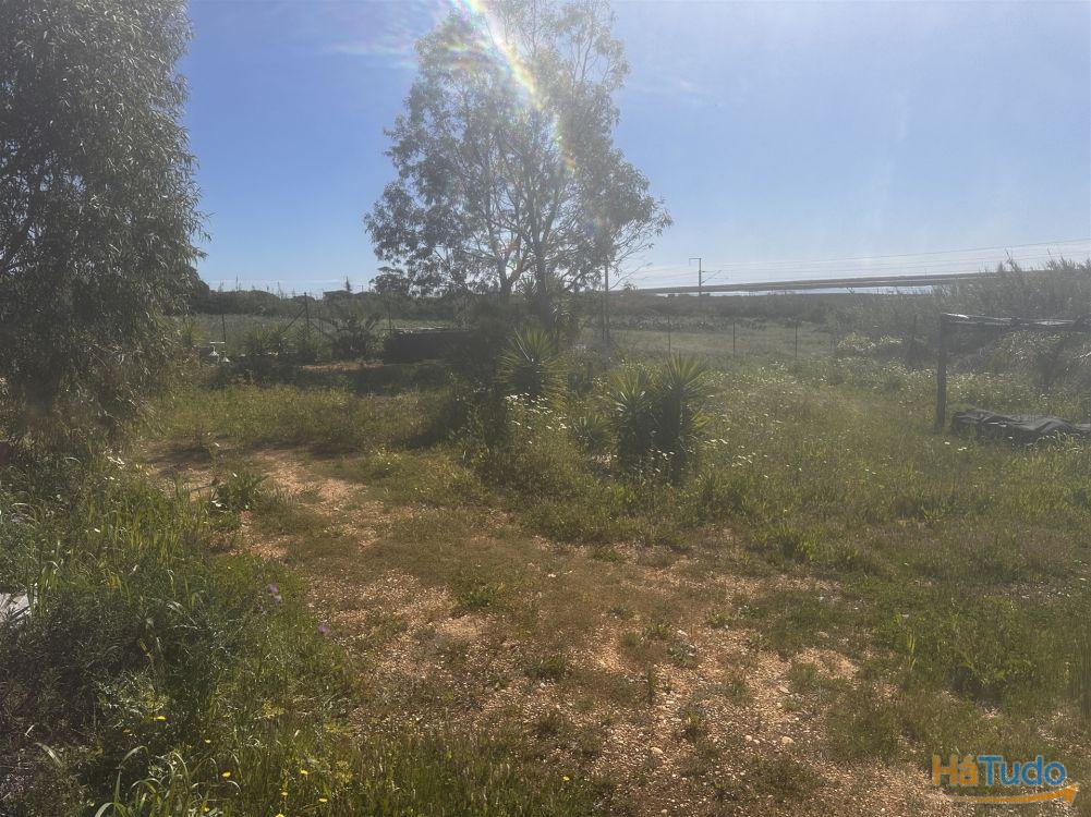 Terreno Rústico Venda em Moncarapacho e Fuseta,Olhão Terreno Rústico Venda em Moncarapacho e Fuseta,Olhão