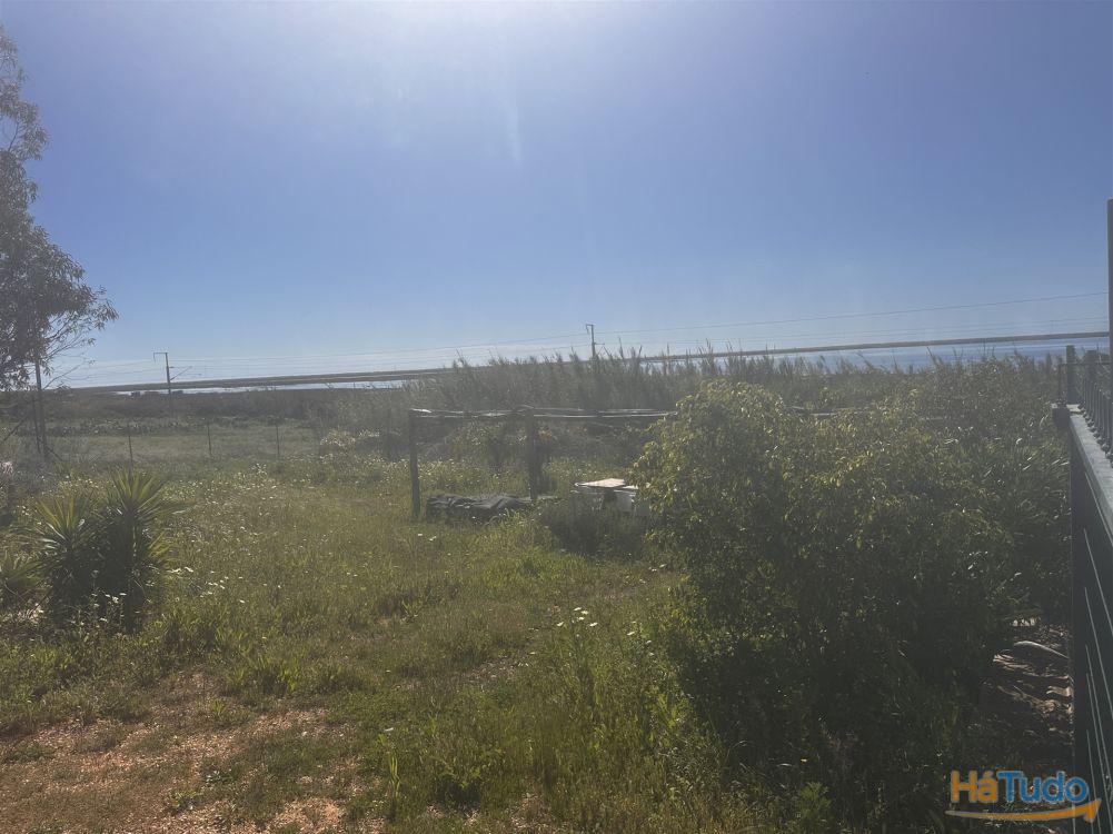 Terreno Rústico Venda em Moncarapacho e Fuseta,Olhão Terreno Rústico Venda em Moncarapacho e Fuseta,Olhão