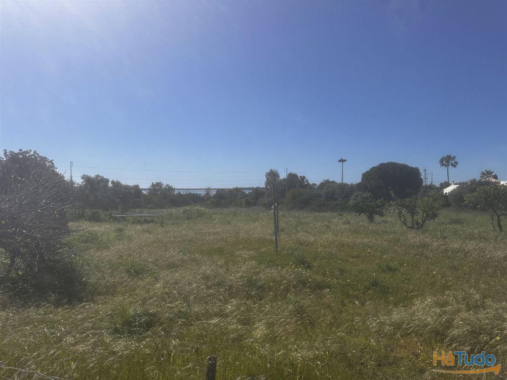 Terreno Rústico Venda em Moncarapacho e Fuseta,Olhão Terreno Rústico Venda em Moncarapacho e Fuseta,Olhão