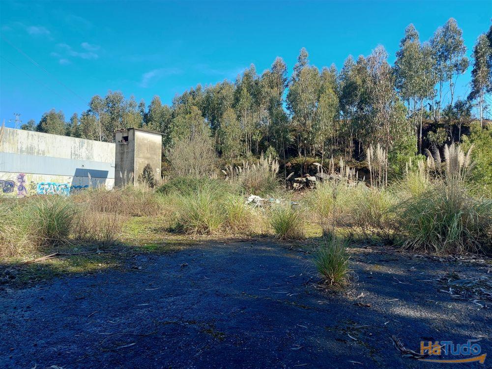 Venda Judicial de Terreno Urbano na Zona Industrial das Mimosas Venda Judicial de Terreno Urbano na Zona Industrial das Mimosas