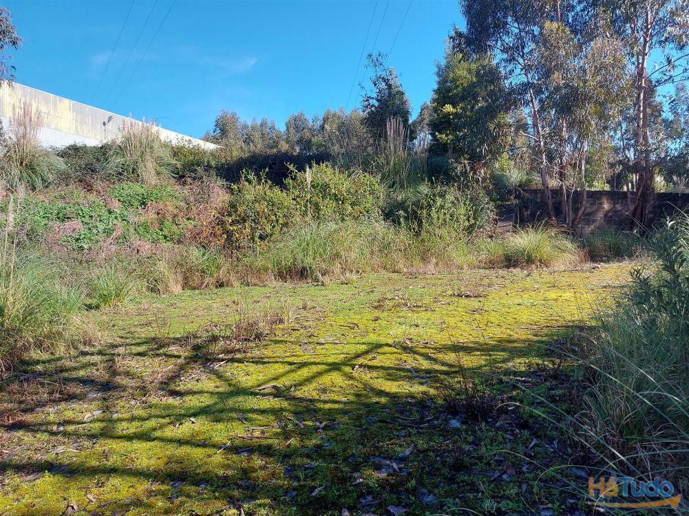 Venda Judicial de Terreno Urbano na Zona Industrial das Mimosas Venda Judicial de Terreno Urbano na Zona Industrial das Mimosas