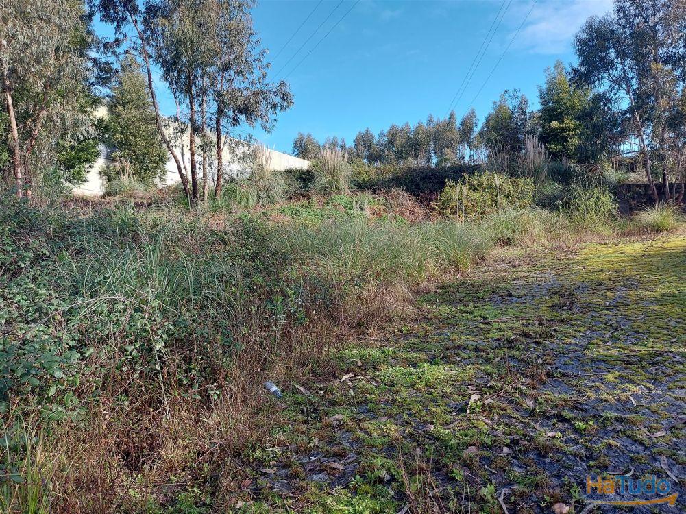 Venda Judicial de Terreno Urbano na Zona Industrial das Mimosas Venda Judicial de Terreno Urbano na Zona Industrial das Mimosas