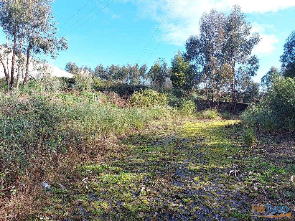 Venda Judicial de Terreno Urbano na Zona Industrial das Mimosas Venda Judicial de Terreno Urbano na Zona Industrial das Mimosas