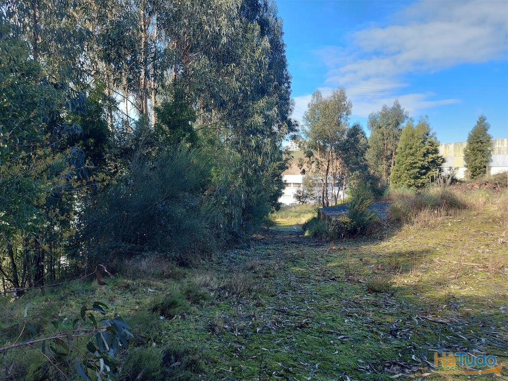 Venda Judicial de Terreno Urbano na Zona Industrial das Mimosas Venda Judicial de Terreno Urbano na Zona Industrial das Mimosas