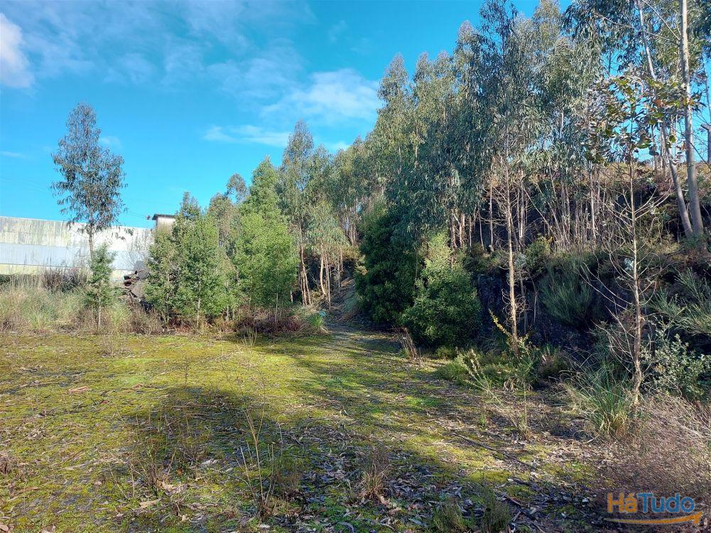 Venda Judicial de Terreno Urbano na Zona Industrial das Mimosas Venda Judicial de Terreno Urbano na Zona Industrial das Mimosas