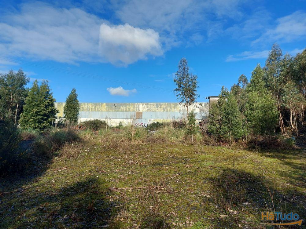 Venda Judicial de Terreno Urbano na Zona Industrial das Mimosas Venda Judicial de Terreno Urbano na Zona Industrial das Mimosas