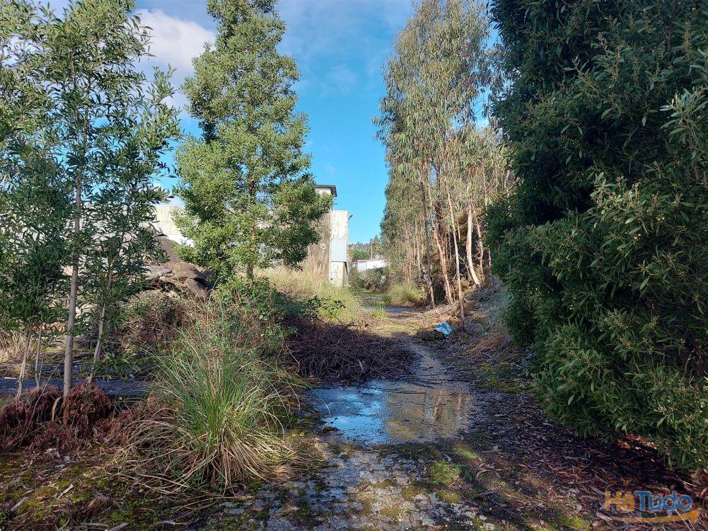 Venda Judicial de Terreno Urbano na Zona Industrial das Mimosas Venda Judicial de Terreno Urbano na Zona Industrial das Mimosas
