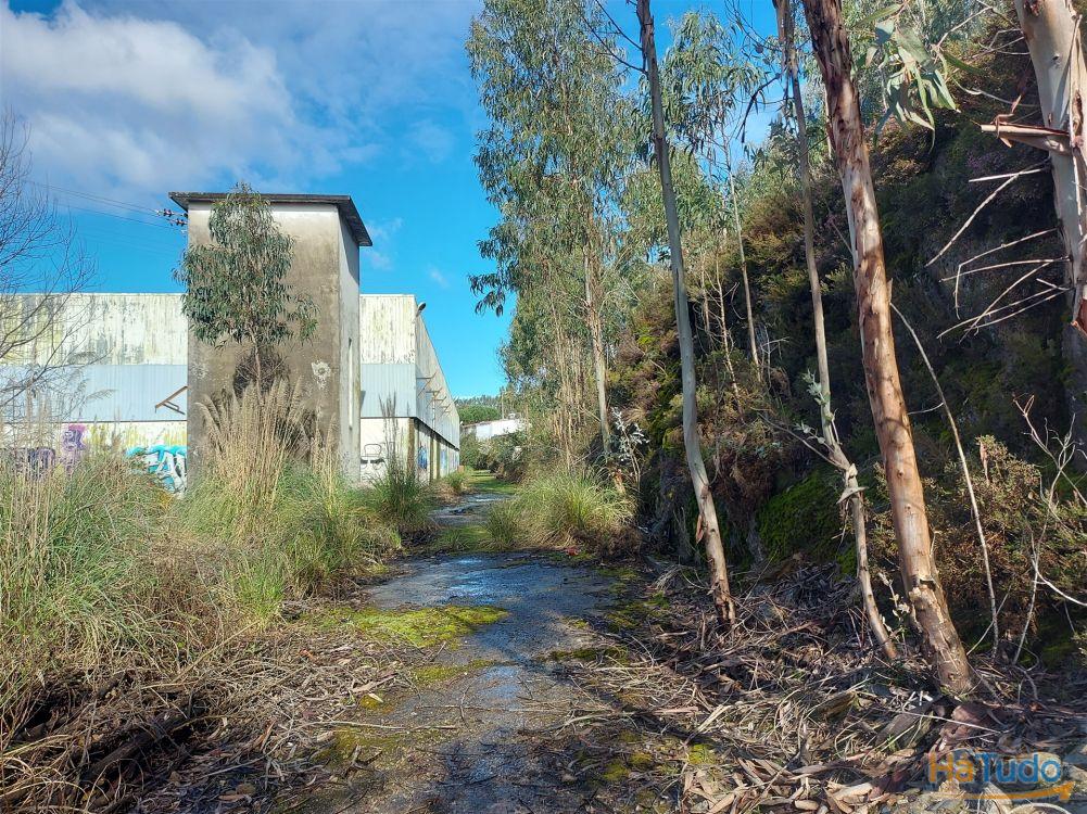 Venda Judicial de Terreno Urbano na Zona Industrial das Mimosas Venda Judicial de Terreno Urbano na Zona Industrial das Mimosas