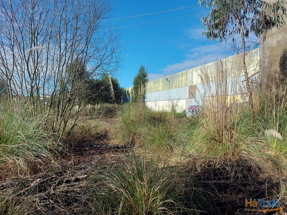 Venda Judicial de Terreno Urbano na Zona Industrial das Mimosas Venda Judicial de Terreno Urbano na Zona Industrial das Mimosas