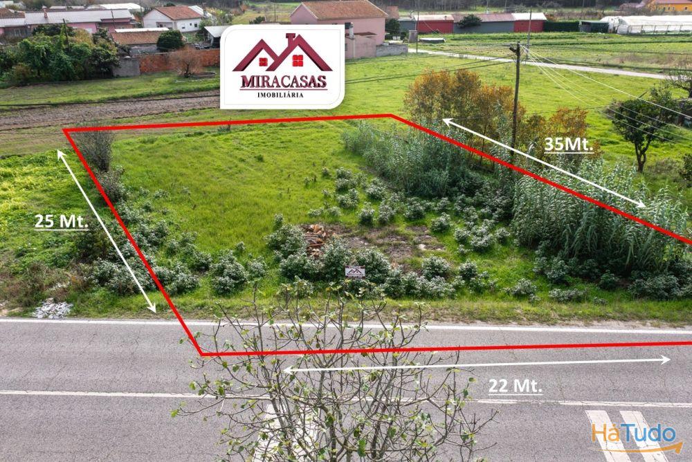 Terreno Para Construção Venda em Arazede,Montemor-o-Velho Terreno Para Construção Venda em Arazede,Montemor-o-Velho