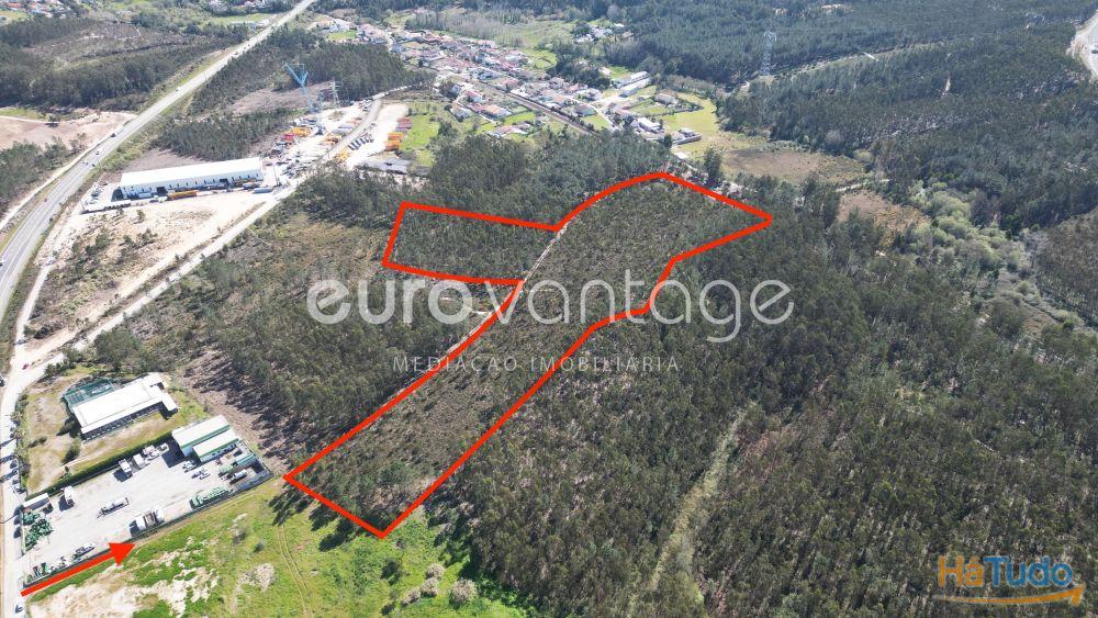 Terreno na Barosa, em Leiria Terreno na Barosa, em Leiria