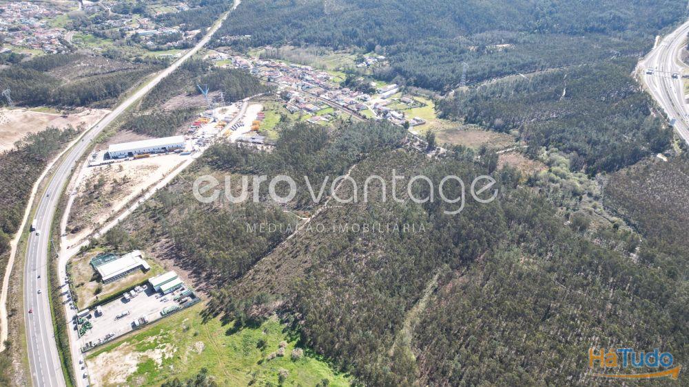 Terreno na Barosa, em Leiria Terreno na Barosa, em Leiria