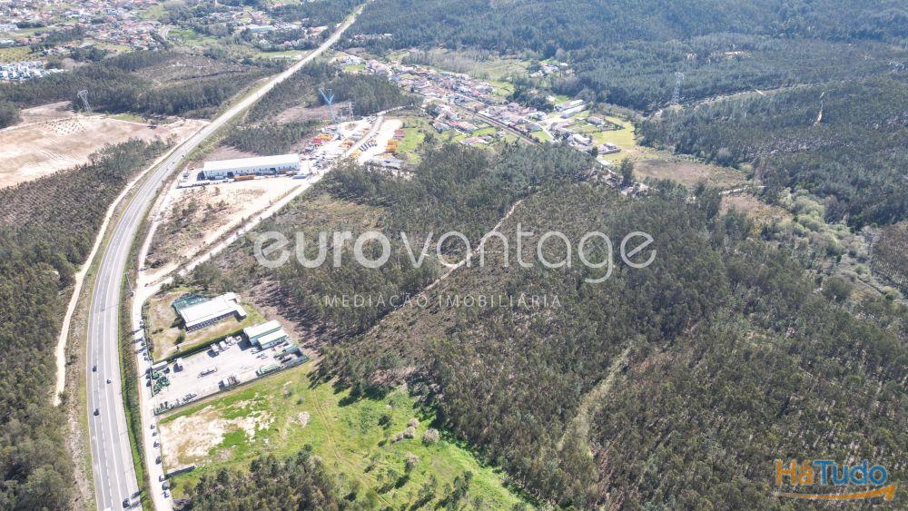 Terreno na Barosa, em Leiria Terreno na Barosa, em Leiria