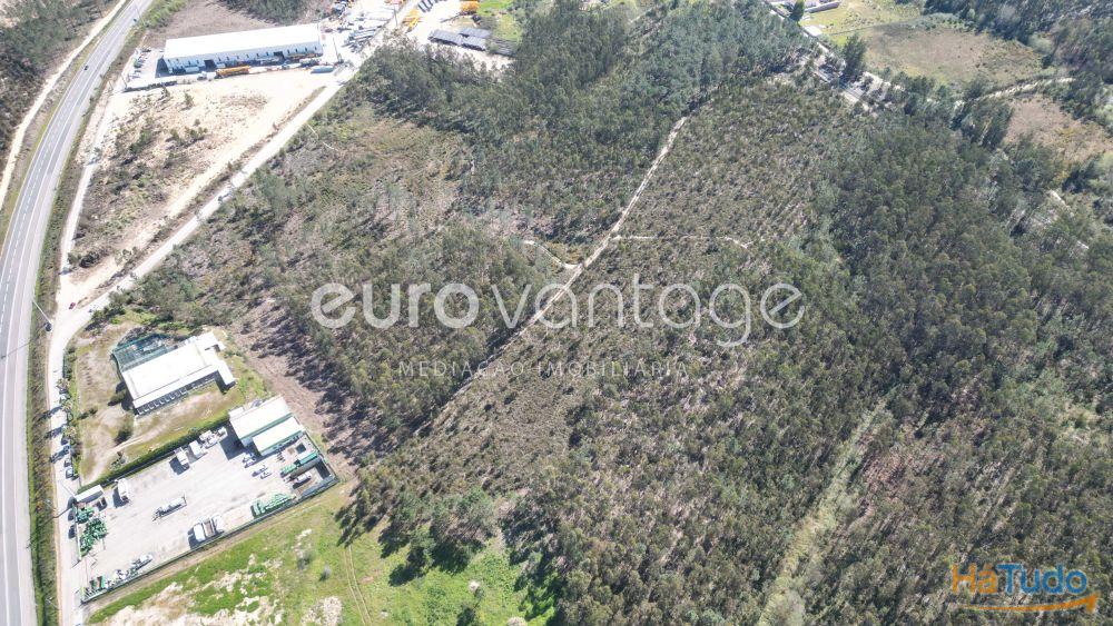 Terreno na Barosa, em Leiria Terreno na Barosa, em Leiria