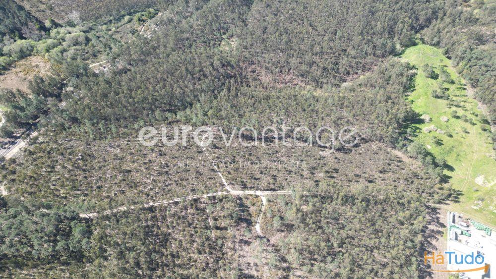 Terreno na Barosa, em Leiria Terreno na Barosa, em Leiria