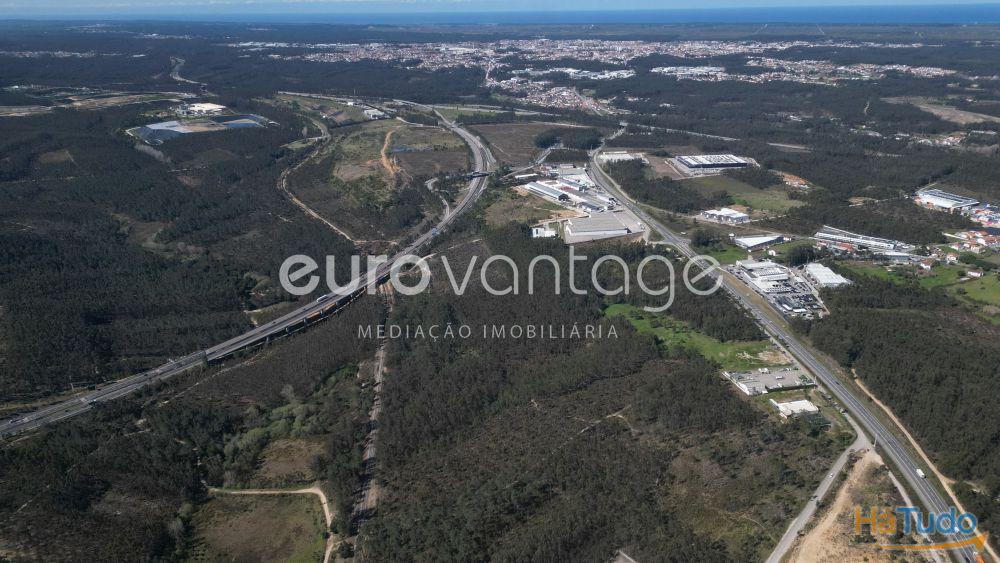 Terreno na Barosa, em Leiria Terreno na Barosa, em Leiria
