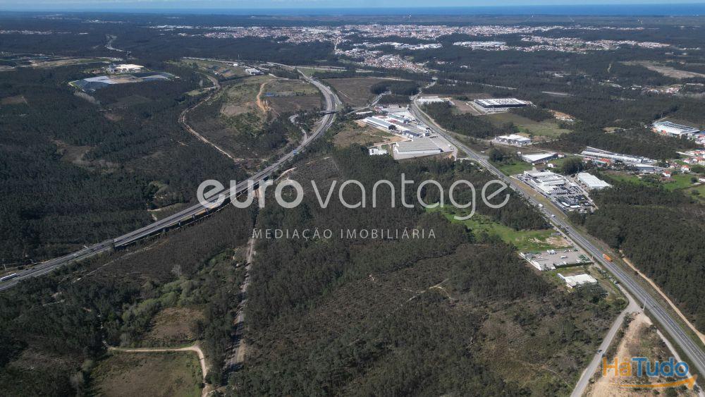 Terreno na Barosa, em Leiria Terreno na Barosa, em Leiria
