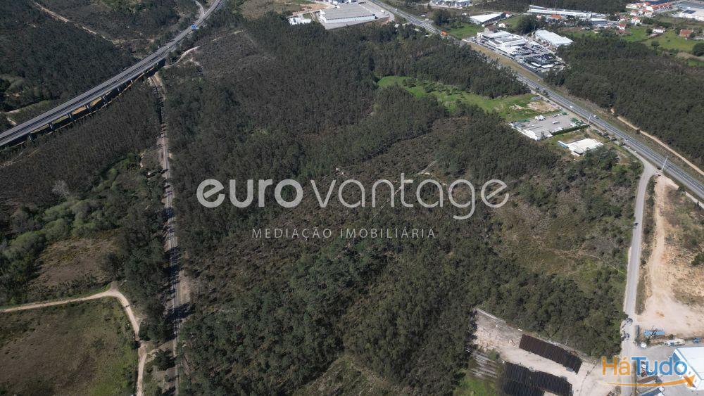 Terreno na Barosa, em Leiria Terreno na Barosa, em Leiria