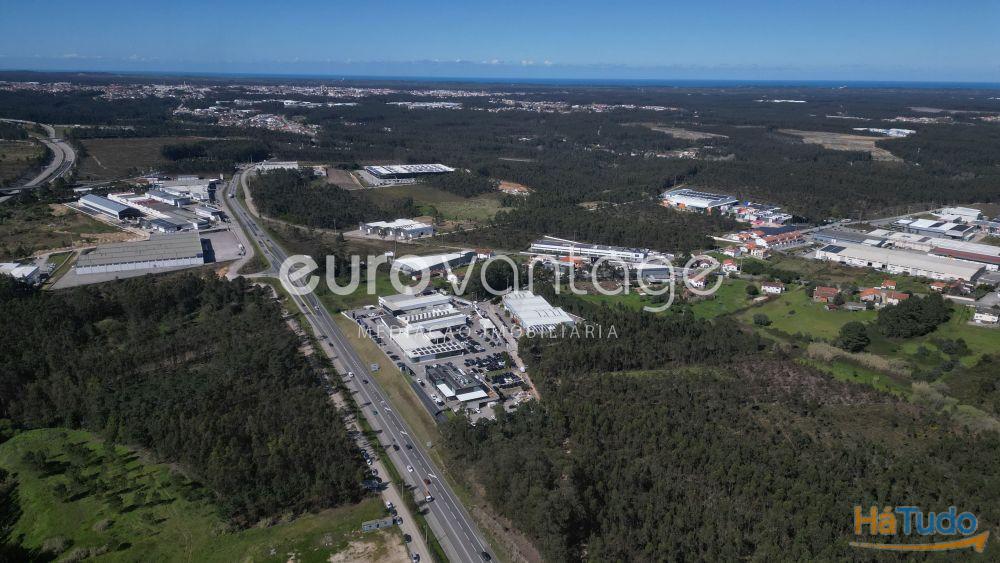 Terreno na Barosa, em Leiria Terreno na Barosa, em Leiria
