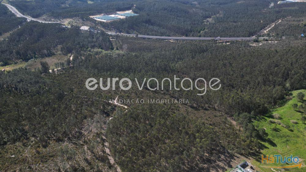 Terreno na Barosa, em Leiria Terreno na Barosa, em Leiria