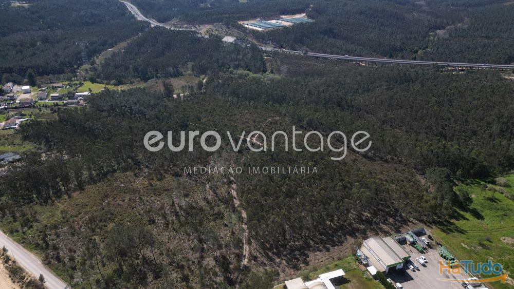 Terreno na Barosa, em Leiria Terreno na Barosa, em Leiria