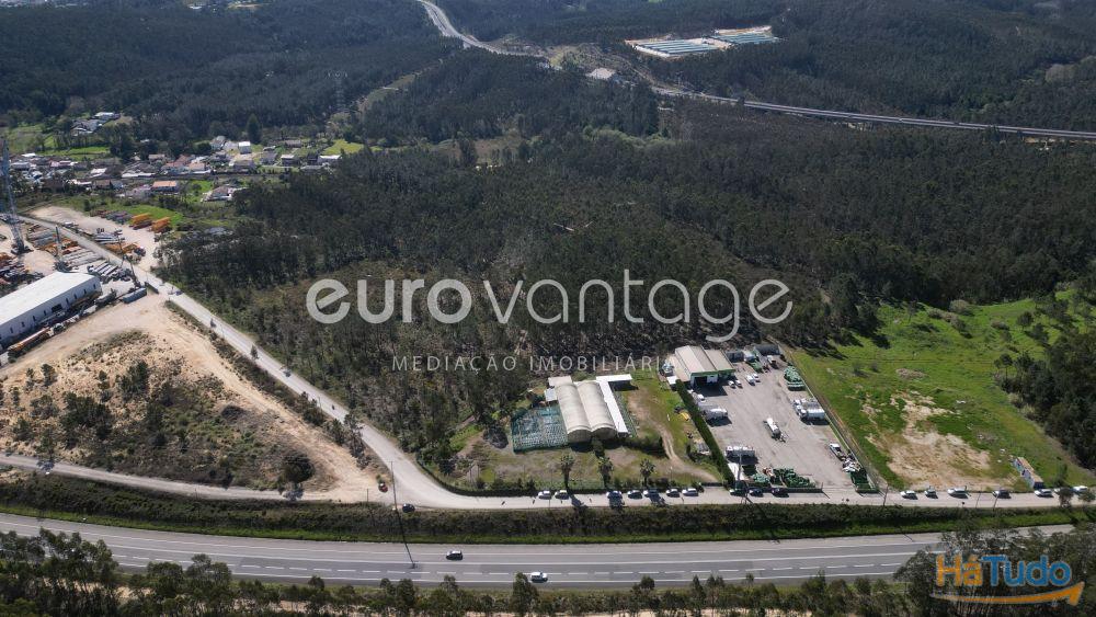 Terreno na Barosa, em Leiria Terreno na Barosa, em Leiria