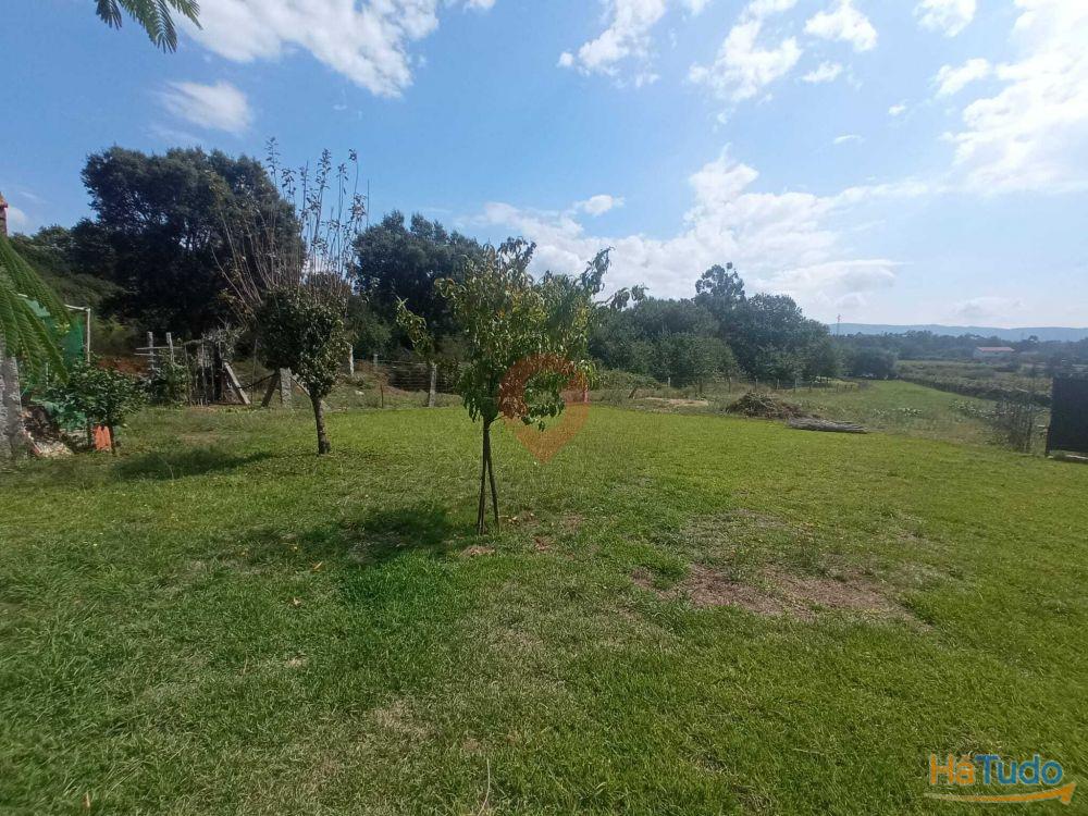 Terreno Terreno