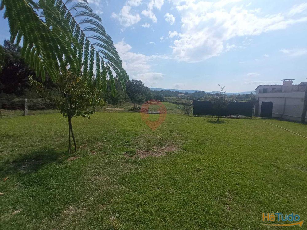 Terreno Terreno