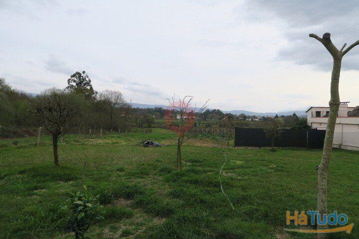 Terreno Terreno