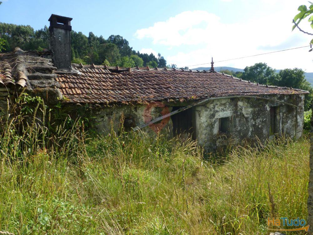 Terreno Terreno