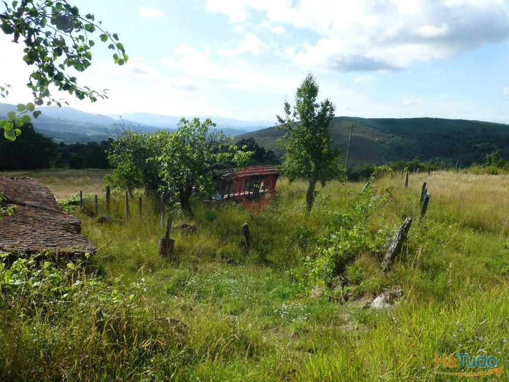 Terreno Terreno